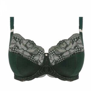 Fantasie 34FF (UK) Green Lace Bra